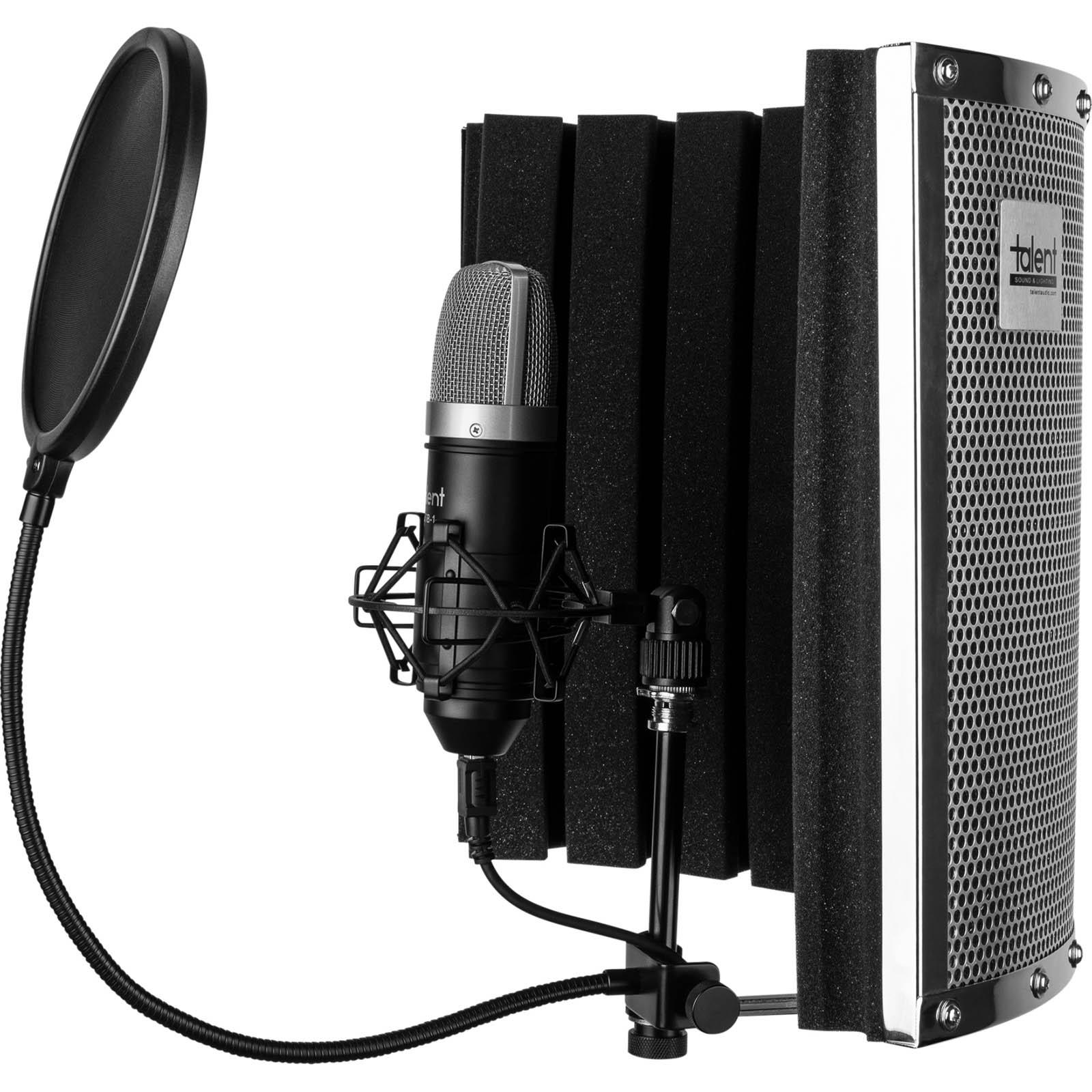 Professional recording sale microphone